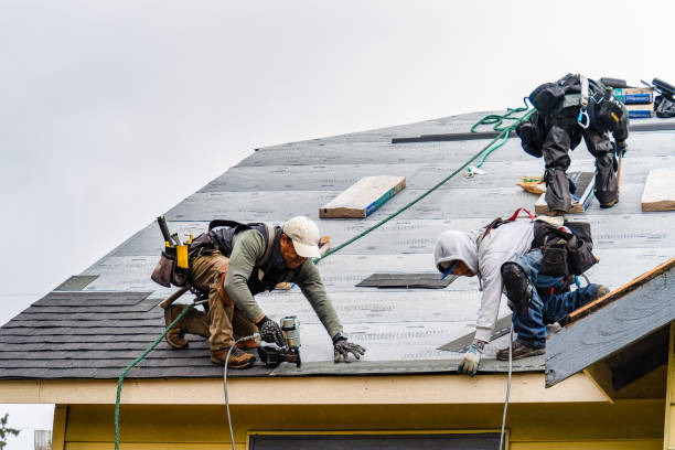 Professional Roofing technician working in Le Claire, IA